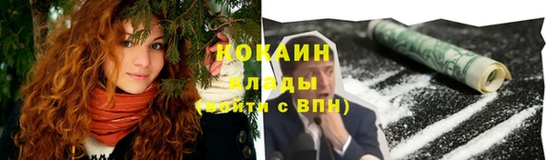 СК Богородск