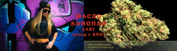 индика Сясьстрой