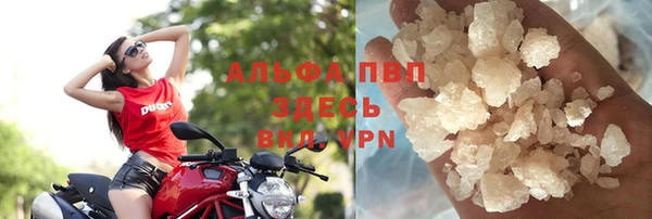 спиды Богородицк