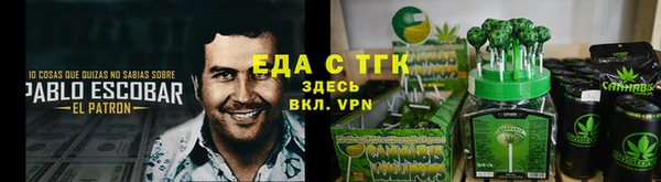 спиды Богородицк
