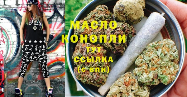 спиды Богородицк
