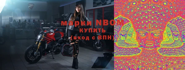 спиды Богородицк