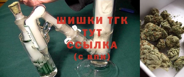 СК Богородск